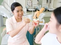 職業体験フェア