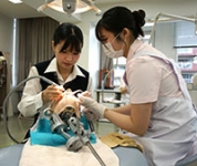 オープンキャンパス(スタンプラリー型)