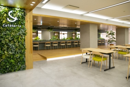 豊橋創造大学TOP(倍率)