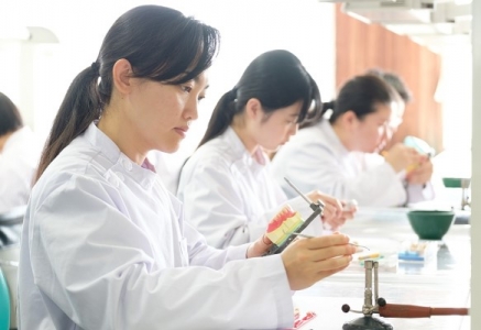 日本歯科学院専門学校TOP