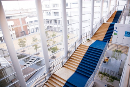 前橋医療福祉専門学校TOP(倍率)