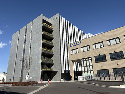 日本体育大学TOP(倍率)