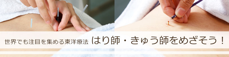 世界でも注目を集める東洋療法の要 はり師・きゅう師をめざそう！